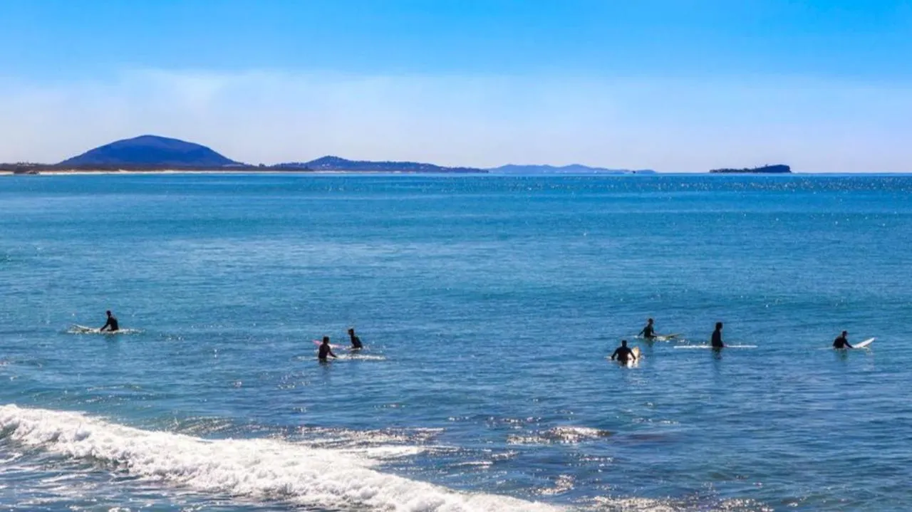 Seascapeatalexbeach Budget Accomodation Alexandra Headland Australia