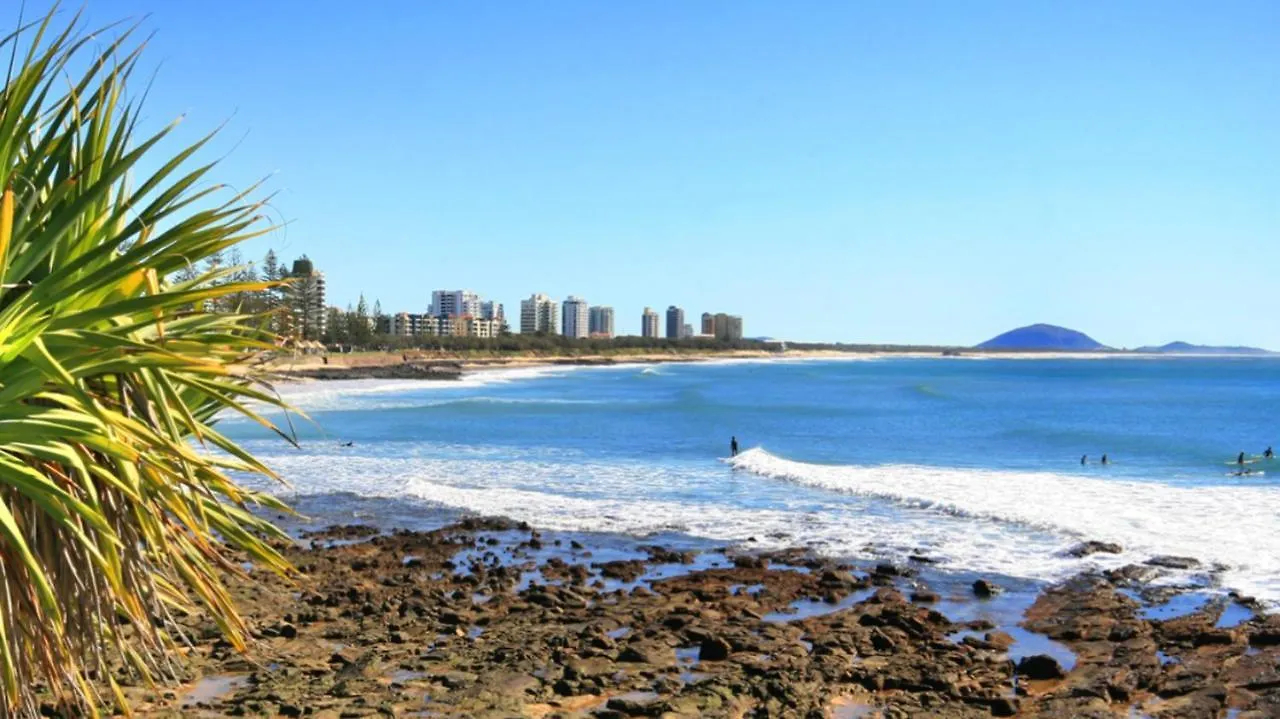 Seascapeatalexbeach Budget Accomodation Alexandra Headland